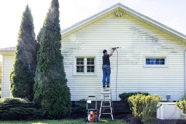 Best Solar Panel Cleaning  in Marquette Heights, IL